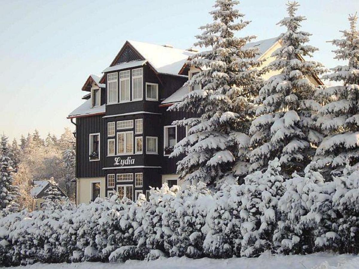 Villa Lydia Altenberg Exterior photo